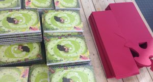 Collaborating with Falmouth