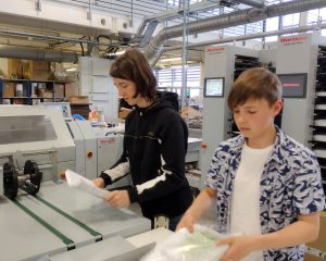 Work Experience at SAPC